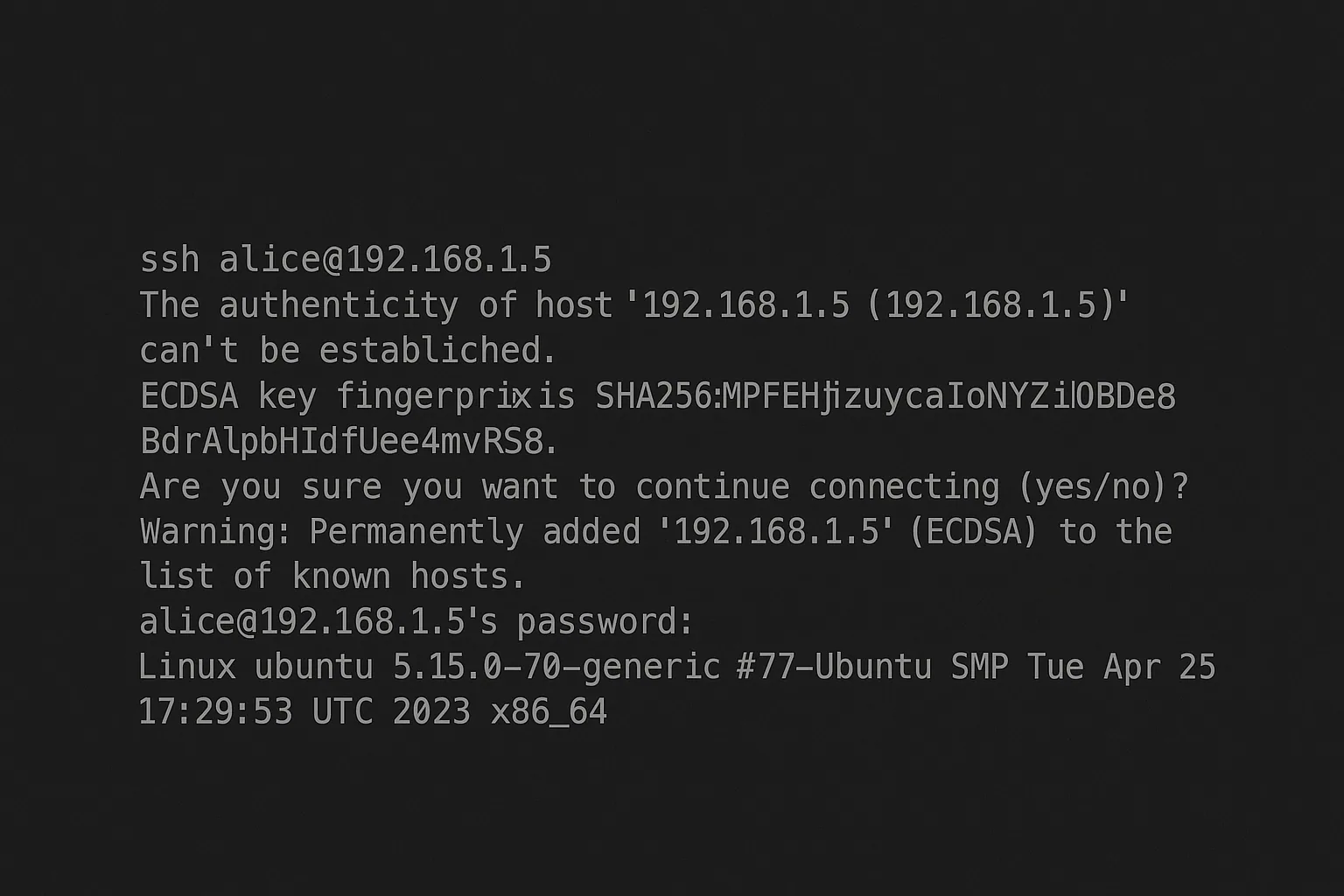 Terminal output of a first SSH connection: the host's authenticity can't be established, its ECDSA fingerprint is shown, the user answers yes, the host is added to known hosts, and the password prompt and Ubuntu banner follow.